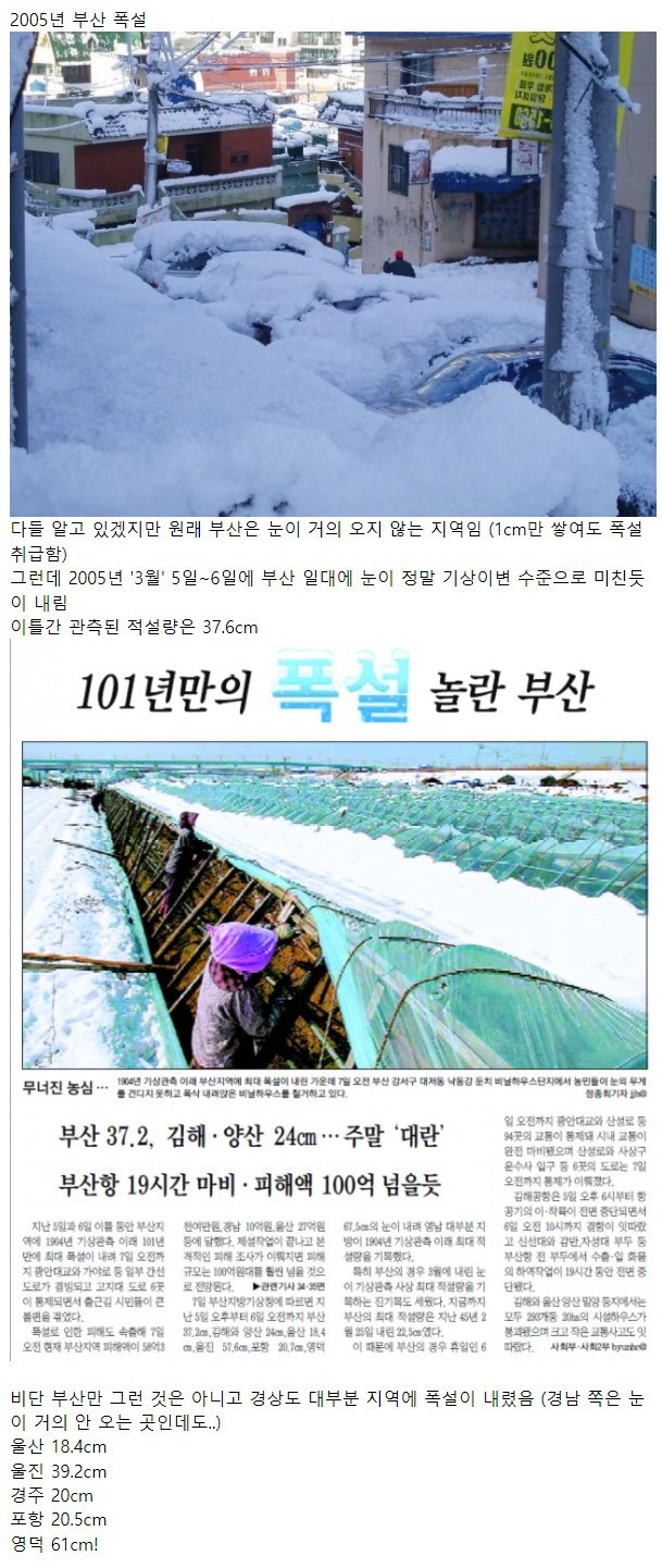 100년에 한 번 있을까 말까한 레전드 폭설