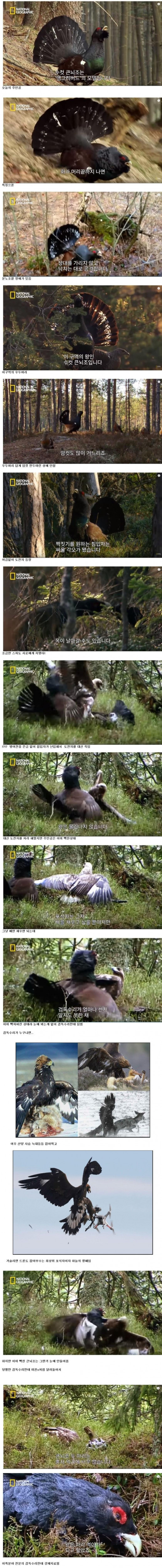 찐 분노조절장애