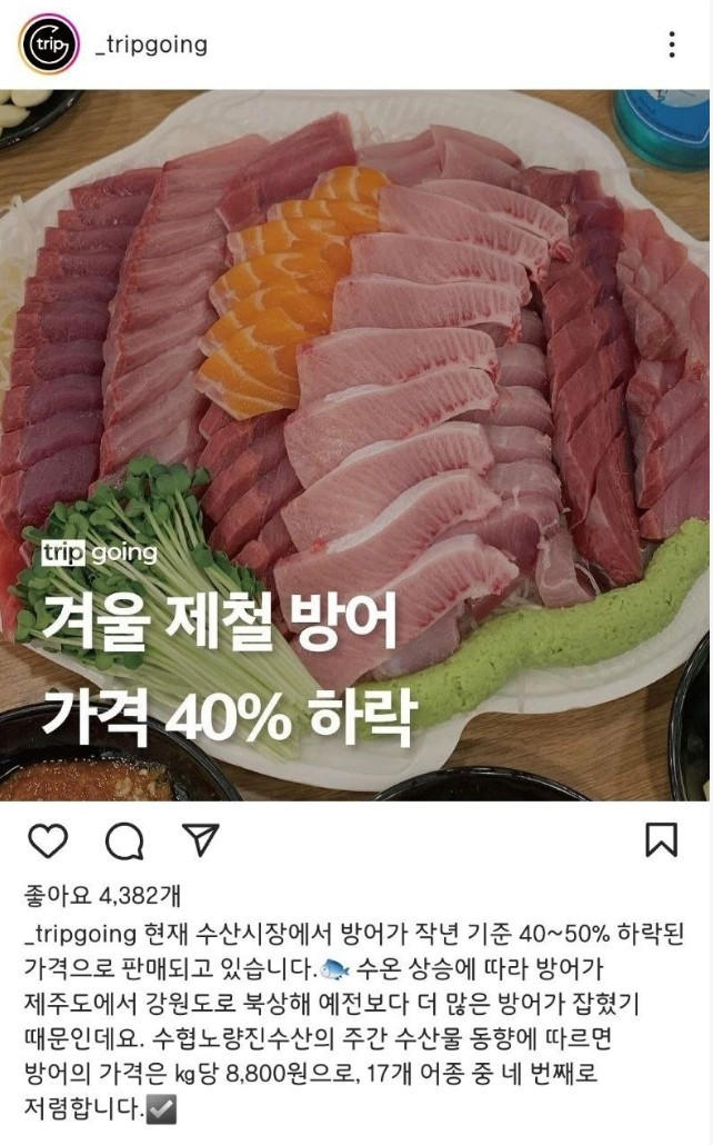 '겨울 회' 방어값 대폭락 했다고 함