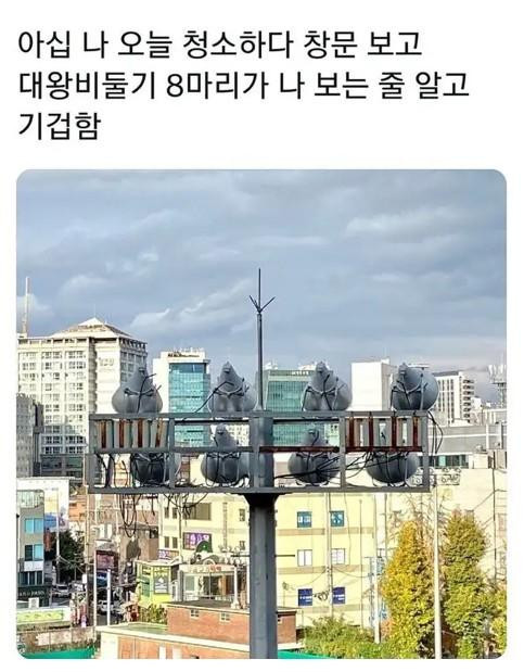 청소하다가 창문 보고 기절 할뻔 함