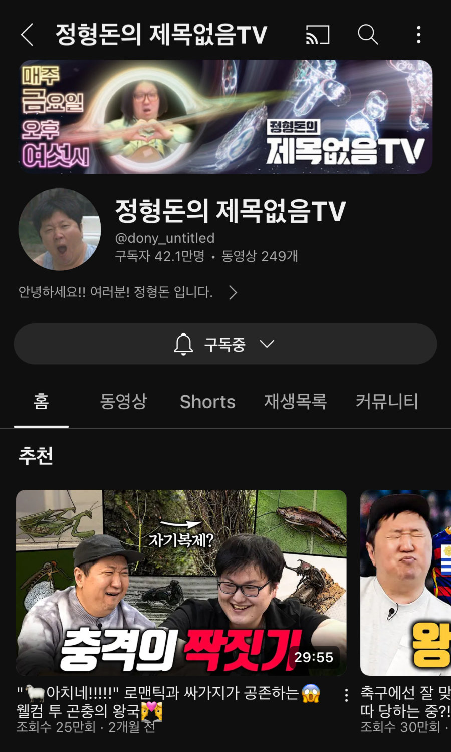 은근 재밌는 연예인 유튜브 채널 추천