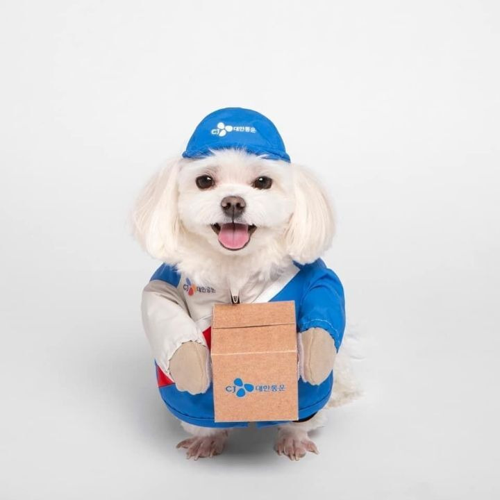 명예 택배사원 경태 프로필 사진