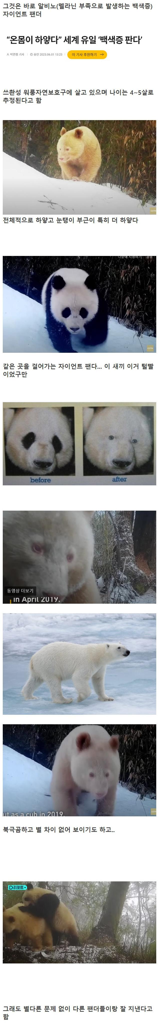 전 세계 딱 한 마리밖에 없다는 생물